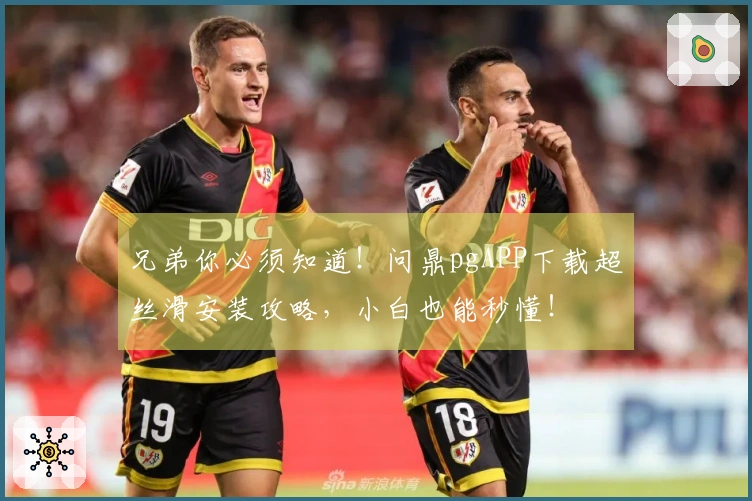 兄弟你必须知道！问鼎pgAPP下载超丝滑安装攻略，小白也能秒懂！